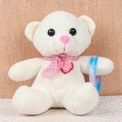 teddy with friendship band